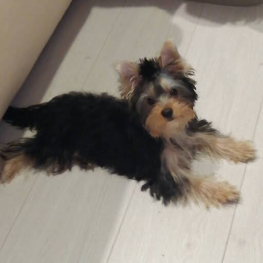 Изображение владельца объявления