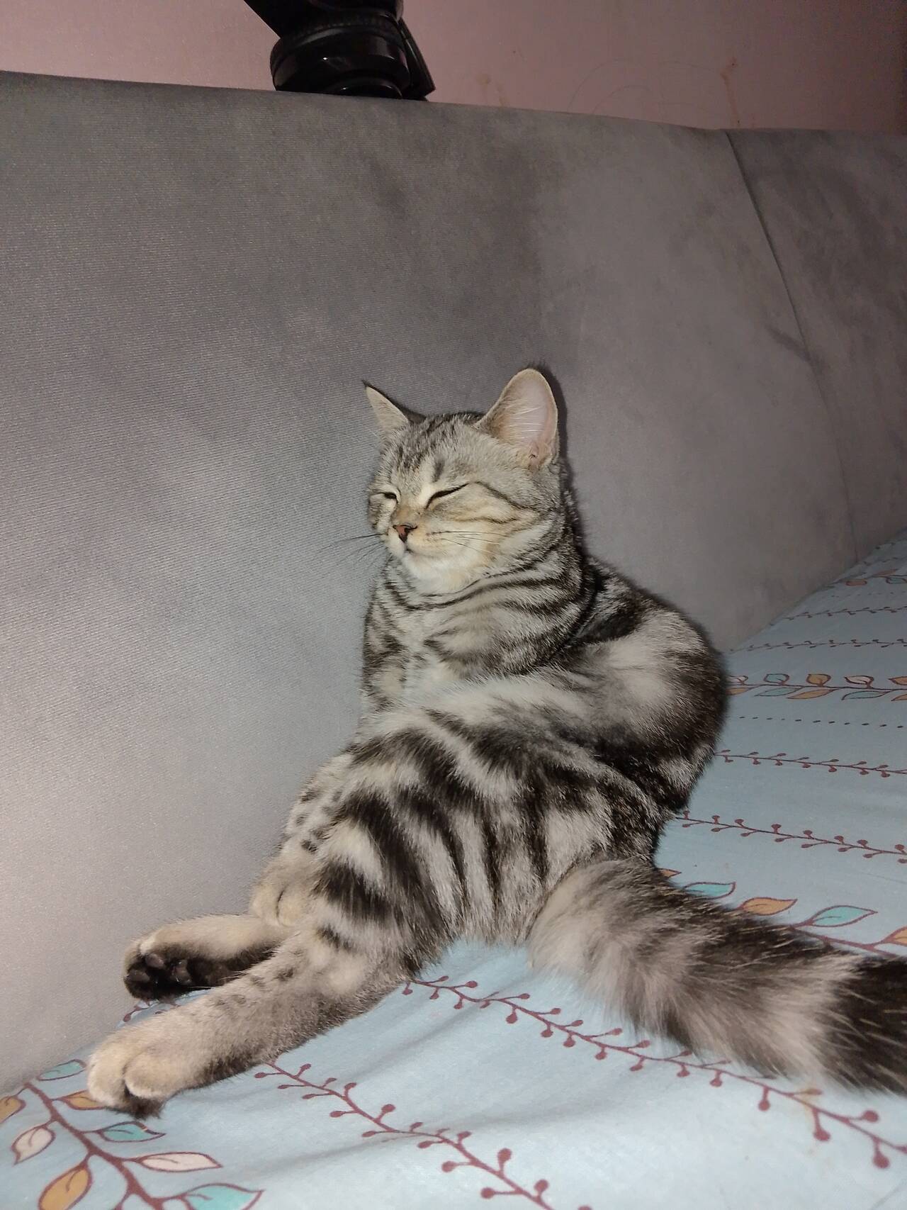 Изображение владельца объявления