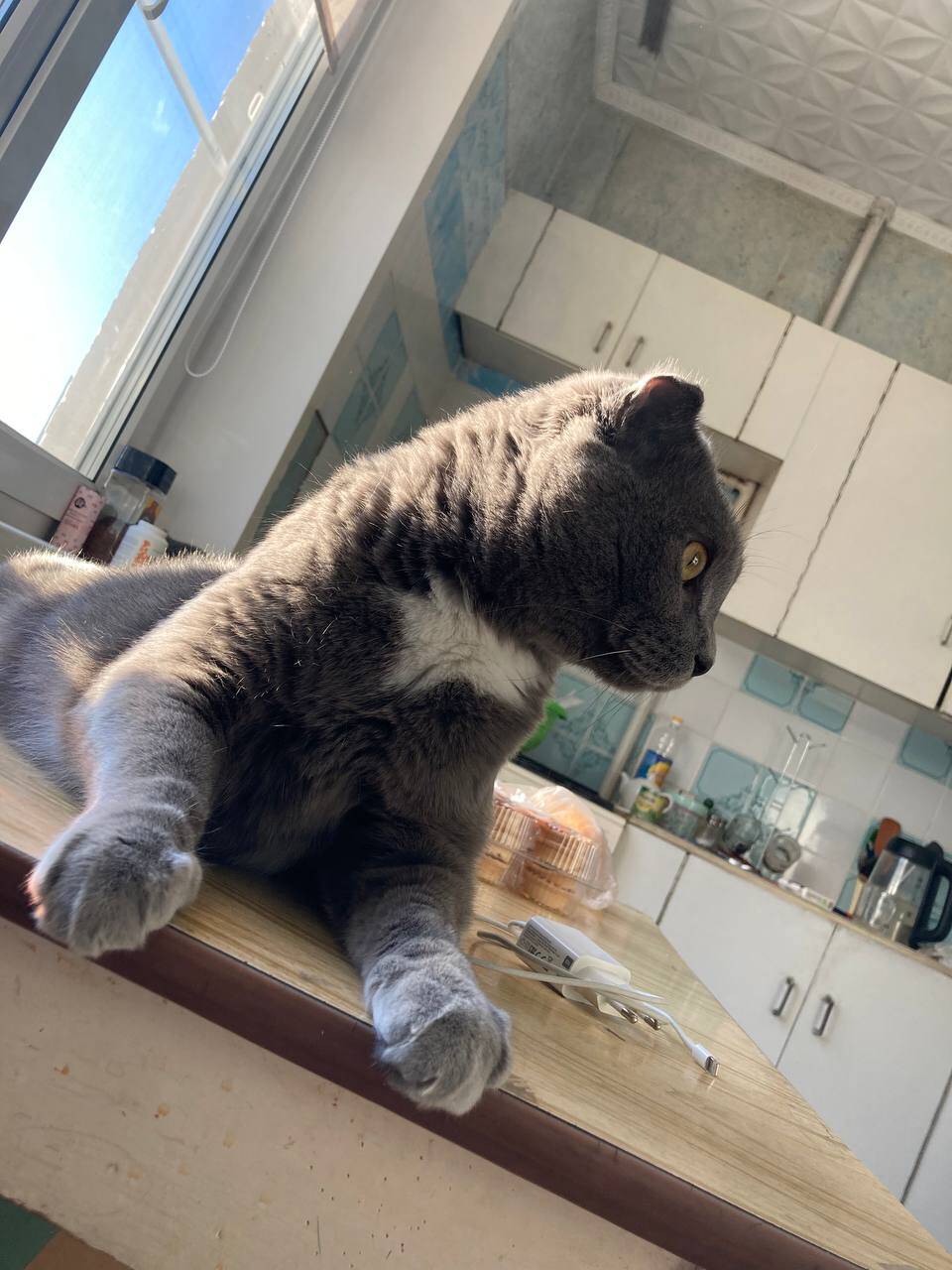 Изображение владельца объявления