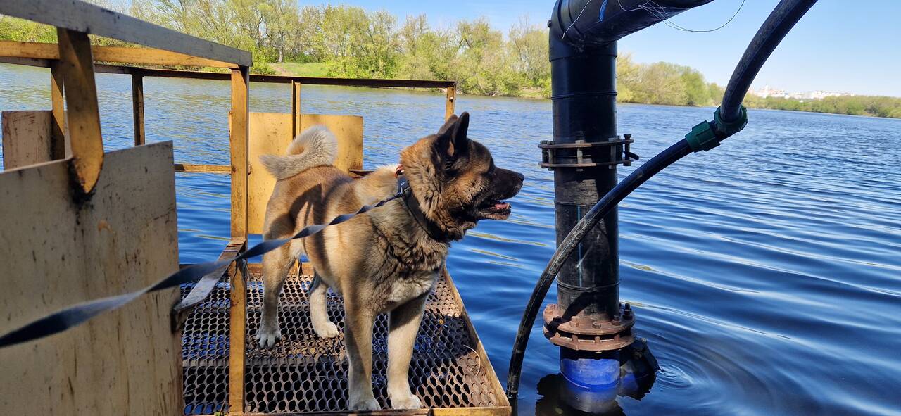 Изображение владельца объявления