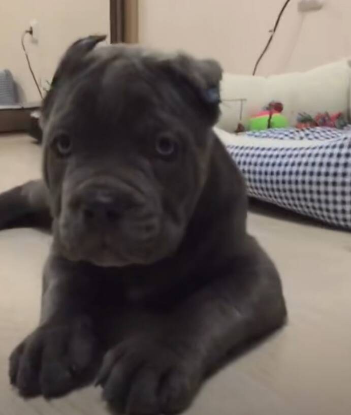 Изображение владельца объявления