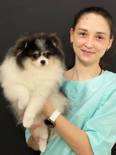 Изображение владельца объявления