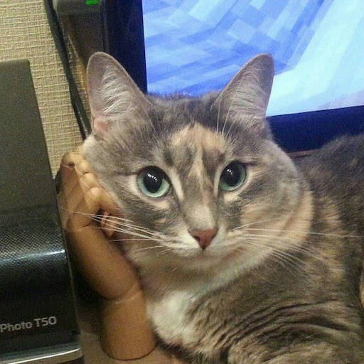 Изображение владельца объявления