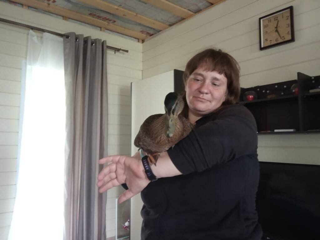 Изображение владельца объявления