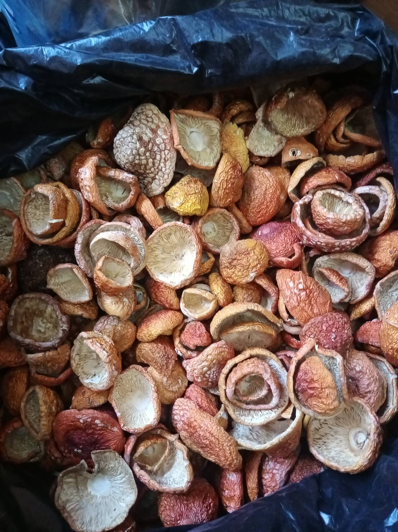 Изображение владельца объявления