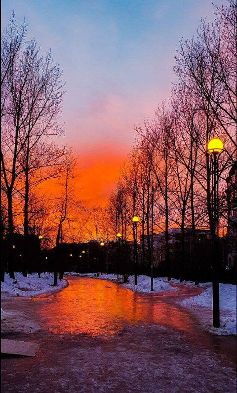 Изображение владельца объявления