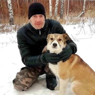 Изображение владельца объявления