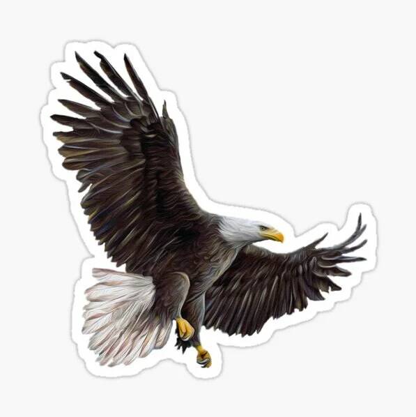 Изображение владельца объявления