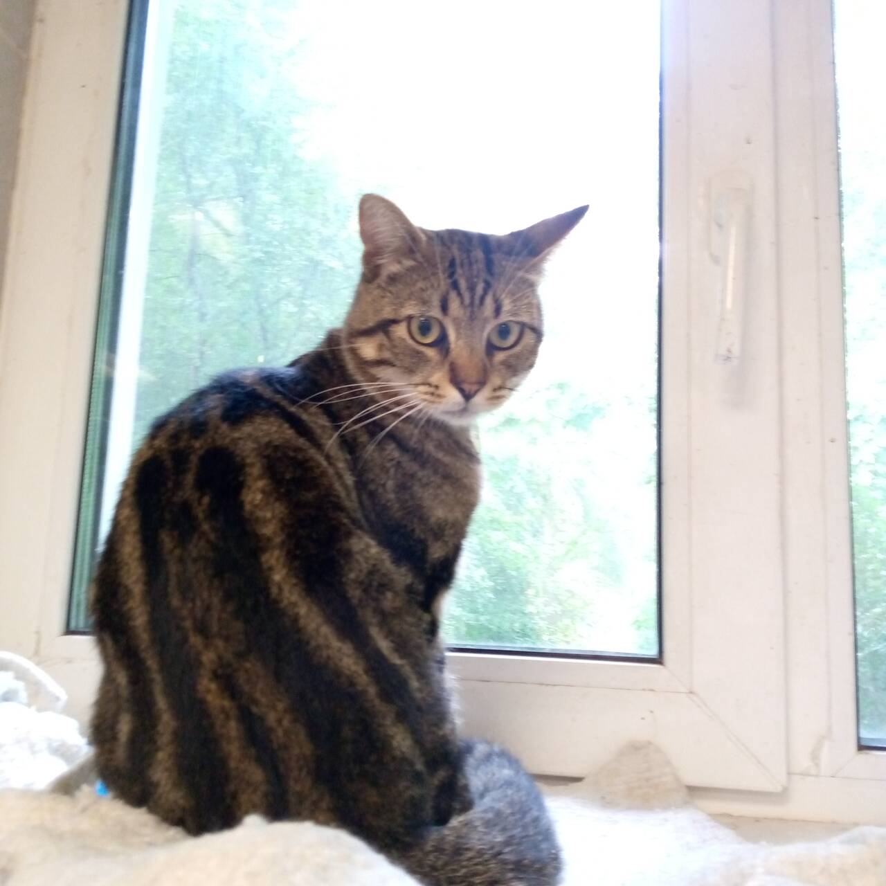 Изображение владельца объявления