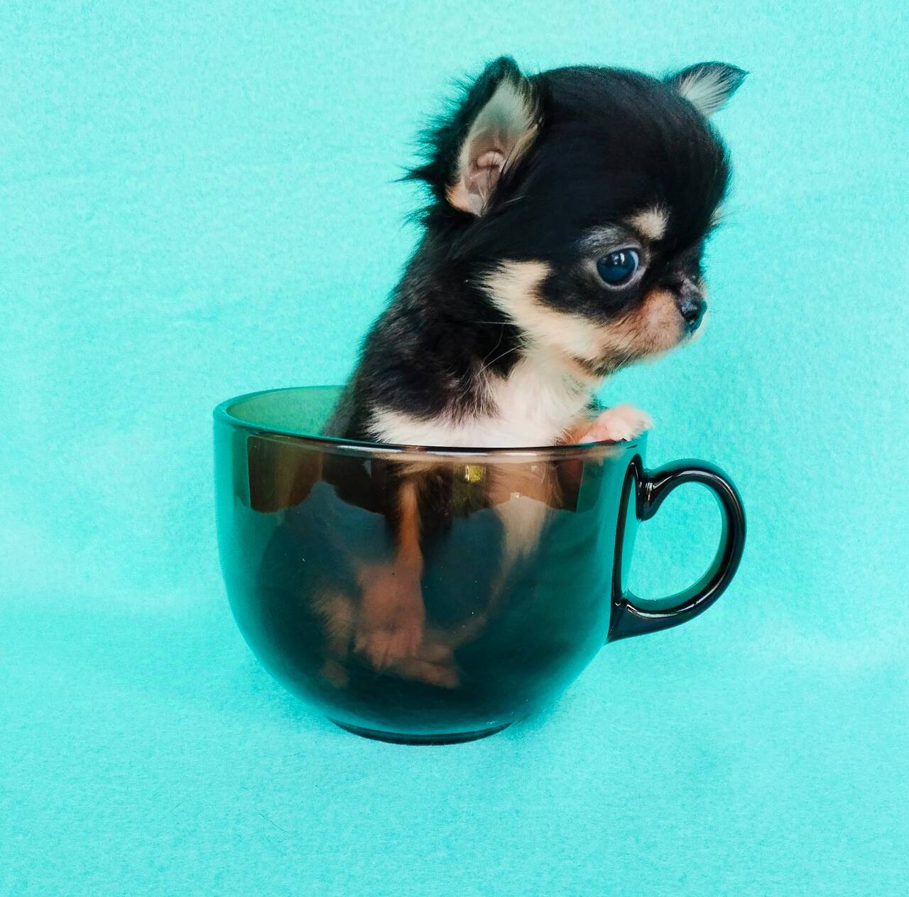 Изображение владельца объявления