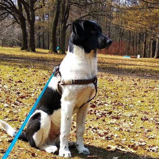 Изображение владельца объявления