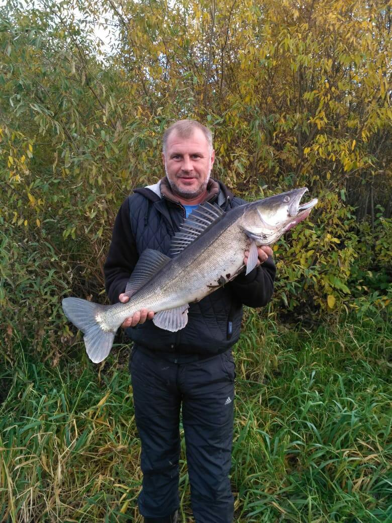 Изображение владельца объявления