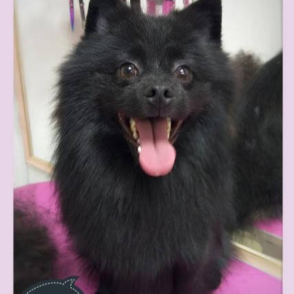 Изображение владельца объявления