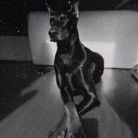 Изображение владельца объявления