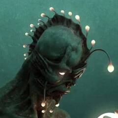 Изображение владельца объявления